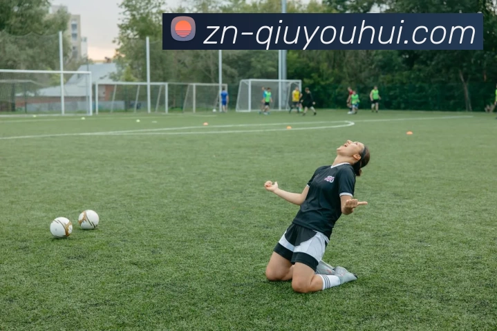 球友会平台生态图